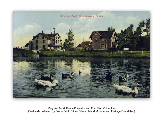 Brighton Pond, Prince Edward Island Post Card Collection

(Postcards collected by Boyde Beck, Prince Edward Island Museum and Heritage Foundation)
