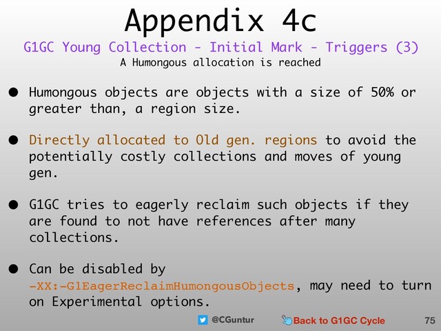 @CGuntur
Appendix 4c
A Humongous allocation is reached
• Humongous objects are objects with a size of 50% or
greater than, a region size.
• Directly allocated to Old gen. regions to avoid the
potentially costly collections and moves of young
gen.
• G1GC tries to eagerly reclaim such objects if they
are found to not have references after many
collections.
• Can be disabled by  
-XX:-G1EagerReclaimHumongousObjects, may need to turn
on Experimental options.
75
G1GC Young Collection - Initial Mark - Triggers (3)
Back to G1GC Cycle

