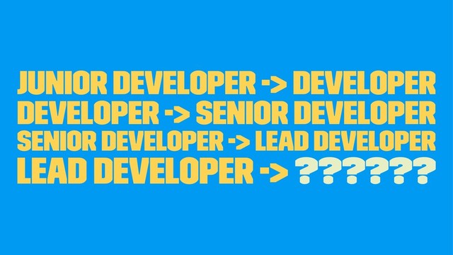 Junior Developer -> Developer
Developer -> Senior Developer
Senior Developer -> Lead Developer
Lead Developer -> ??????
