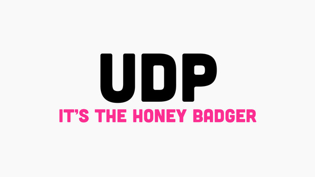 UDP
it’s the honey badger
