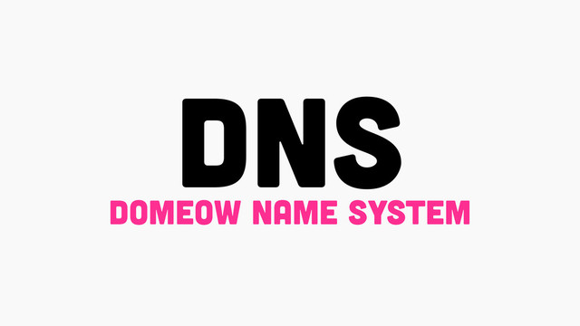 DNS
domeow name system
