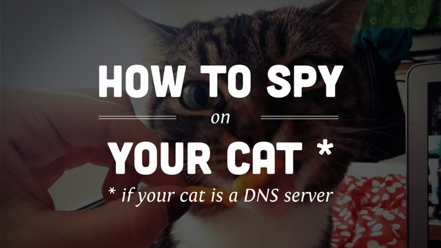 your cat *
how to spy
on
* if your cat is a DNS server

