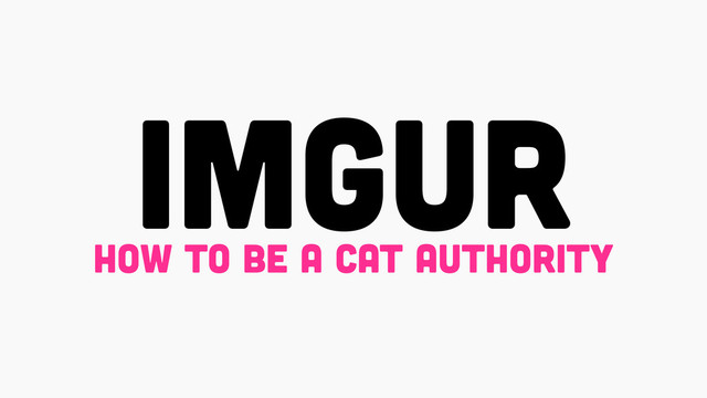 imgur
how to be a cat authority
