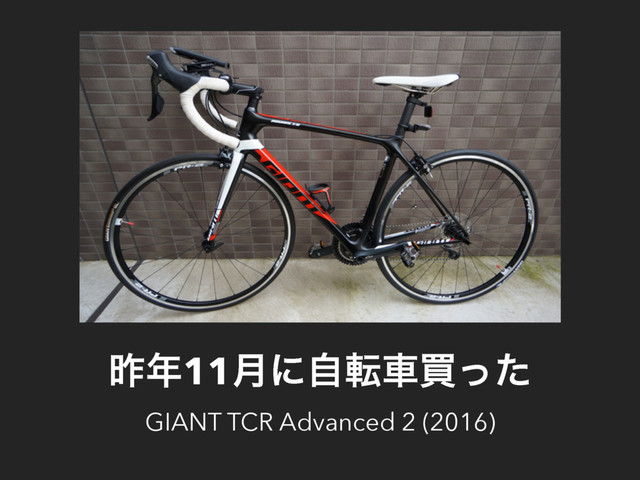 ࡢ೥11݄ʹࣗసंങͬͨ
GIANT TCR Advanced 2 (2016)
