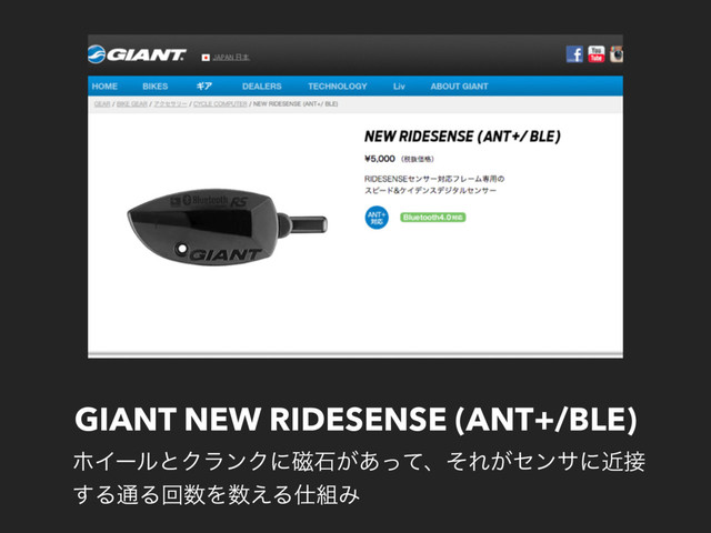 GIANT NEW RIDESENSE (ANT+/BLE)
ϗΠʔϧͱΫϥϯΫʹ࣓ੴ͕͋ͬͯɺͦΕ͕ηϯαʹۙ઀
͢Δ௨Δճ਺Λ਺͑Δ࢓૊Έ
