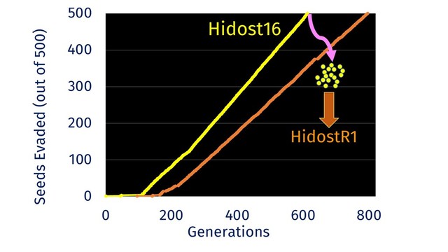 0
100
200
300
400
500
0 200 400 600 800
HidostR1
Seeds Evaded (out of 500)
Generations
Hidost16
