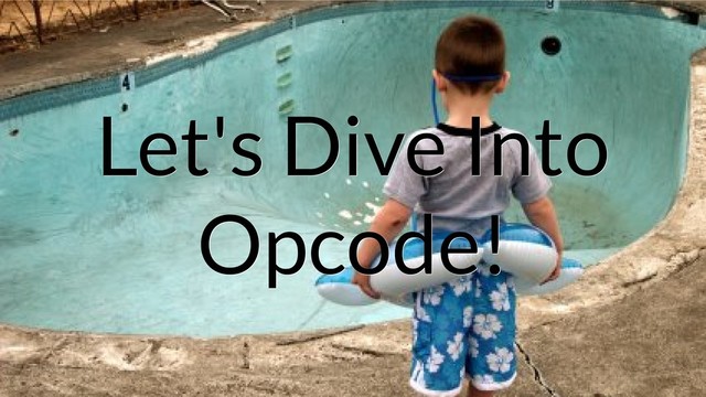 Let's Dive Into
Let's Dive Into
Let's Dive Into
Opcode!
Opcode!
Opcode!
