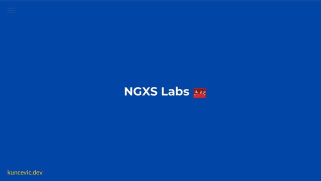 kuncevic.dev
NGXS Labs 🧰
