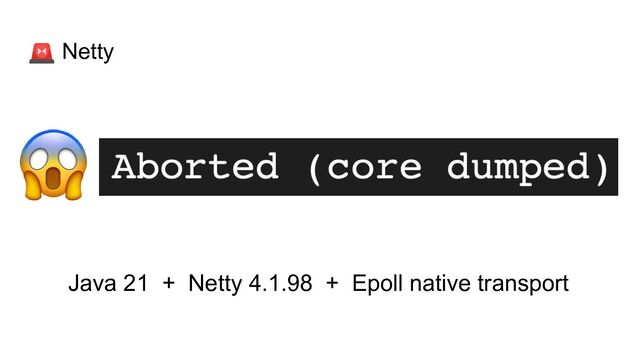 🚨 Netty
Java 21 + Netty 4.1.98 + Epoll native transport
