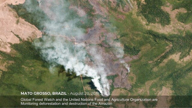 MATO GROSSO, BRAZIL • August 20, 2019
Global Forest Watch and the United Nations Food and Agriculture Organization are
Monitoring deforestation and destruction of the Amazon
