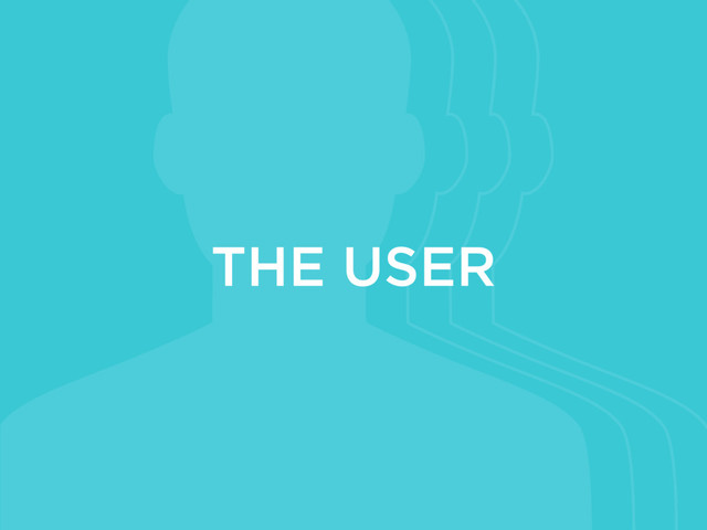 THE USER
