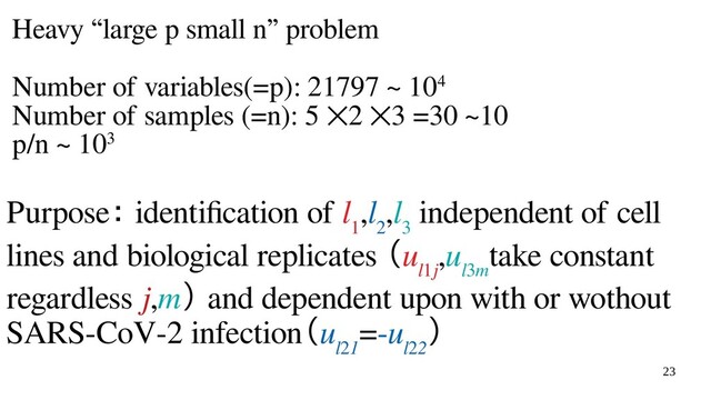 23
Purpose： identification of l
1
,l
2
,l
3
independent of cell
lines and biological replicates （u
l1j
,u
l3m
take constant
regardless j,m） and dependent upon with or wothout
SARS-CoV-2 infection（u
l21
=-u
l22
）
Heavy “large p small n” problem
Number of variables(=p): 21797 ~ 104
Number of samples (=n): 5 ⨉2 ⨉3 =30 ~10
p/n ~ 103
