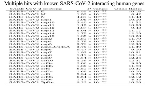 27
Multiple hits with known SARS-CoV-2 interacting human genes
