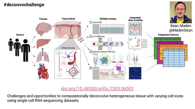 #deconvochallenge
Challenges and opportunities to computationally deconvolve heterogeneous tissue with varying cell sizes
using single cell RNA-sequencing datasets
doi.org/10.48550/arXiv.2305.06501
Sean Maden
@MadenSean
