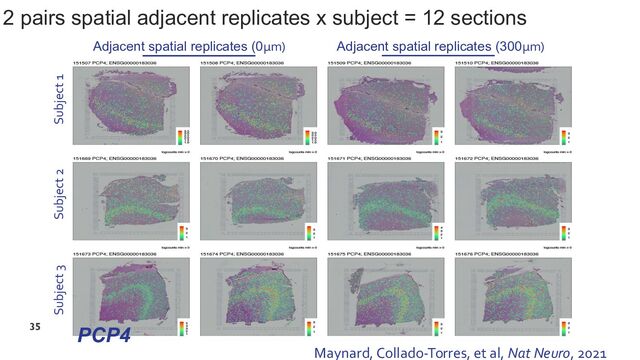 2 pairs spatial adjacent replicates x subject = 12 sections
35
Subject 1
Subject 2
Subject 3
Adjacent spatial replicates (0μm) Adjacent spatial replicates (300μm)
PCP4
Maynard, Collado-Torres, et al, Nat Neuro, 2021

