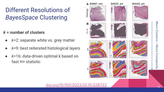 Different Resolutions of
BayesSpace Clustering
k = number of clusters
● k=2: separate white vs. grey matter
● k=9: best reiterated histological layers
● k=16: data-driven optimal k based on
fast H+ statistic
42
More Clusters = More Complexity
doi.org/10.1101/2023.02.15.528722
