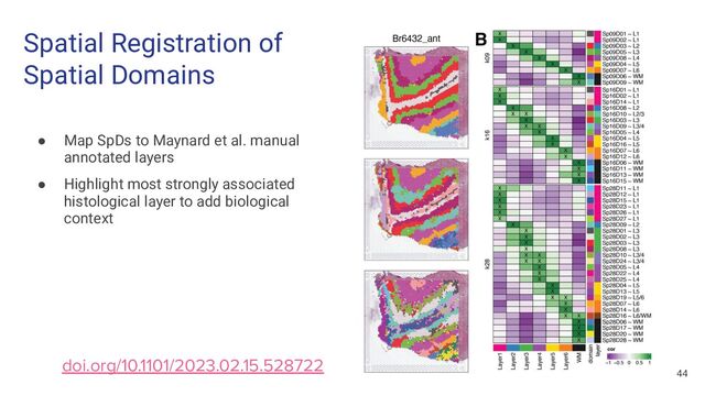 Spatial Registration of
Spatial Domains
● Map SpDs to Maynard et al. manual
annotated layers
● Highlight most strongly associated
histological layer to add biological
context
44
doi.org/10.1101/2023.02.15.528722
