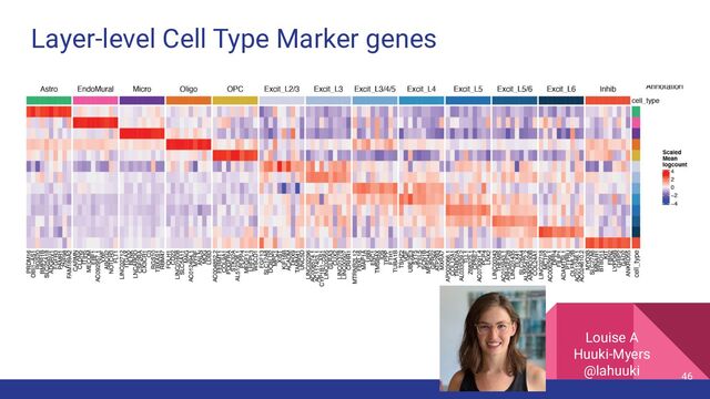 Layer-level Cell Type Marker genes
46
Louise A
Huuki-Myers
@lahuuki
