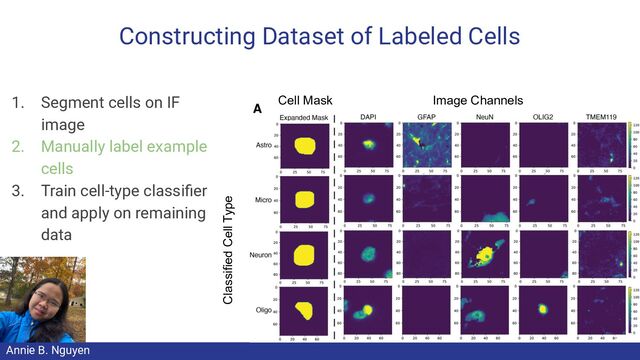 Constructing Dataset of Labeled Cells
1. Segment cells on IF
image
2. Manually label example
cells
3. Train cell-type classiﬁer
and apply on remaining
data
Image Channels
Classified Cell Type
Cell Mask
55
Annie B. Nguyen
