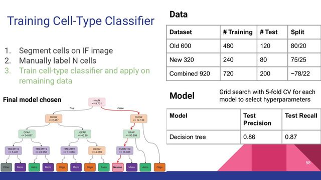 Training Cell-Type Classiﬁer
58
Model Test
Precision
Test Recall
Decision tree 0.86 0.87
Dataset # Training # Test Split
Old 600 480 120 80/20
New 320 240 80 75/25
Combined 920 720 200 ~78/22
1. Segment cells on IF image
2. Manually label N cells
3. Train cell-type classiﬁer and apply on
remaining data
Grid search with 5-fold CV for each
model to select hyperparameters
Data
Model
Final model chosen

