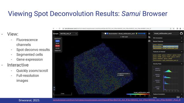 Viewing Spot Deconvolution Results: Samui Browser
- View:
- Fluorescence
channels
- Spot deconvo results
- Segmented cells
- Gene expression
- Interactive
- Quickly zoom/scroll
- Full-resolution
images
samuibrowser.com/from?url=data2.loopybrowser.com/VisiumIF/&s=Br2720_Ant_IF&s=Br6432_Ant_IF&s=Br6522_Ant_IF&s=Br8667_Post_IF
Sriworarat, 2023.
64
