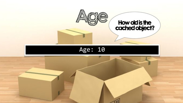 Age
Age: 10
How old is the
cached object?
