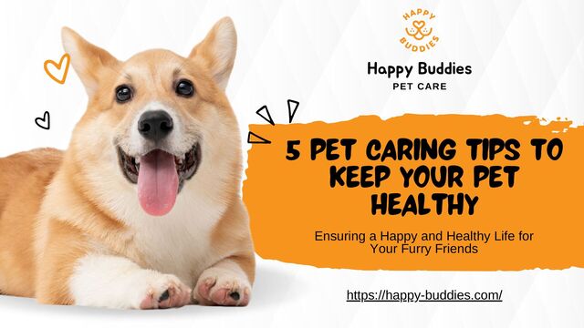 5 PET CARING TIPS TO
KEEP YOUR PET
HEALTHY
https://happy-buddies.com/
Happy Buddies
PET CARE
Ensuring a Happy and Healthy Life for
Your Furry Friends
