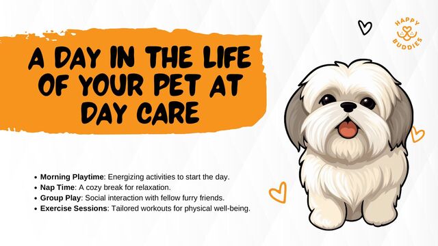 A DAY IN THE LIFE
OF YOUR PET AT
DAY CARE
Morning Playtime: Energizing activities to start the day.
Nap Time: A cozy break for relaxation.
Group Play: Social interaction with fellow furry friends.
Exercise Sessions: Tailored workouts for physical well-being.
