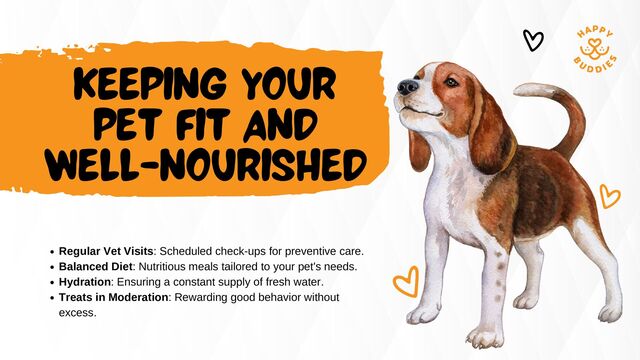 KEEPING YOUR
PET FIT AND
WELL-NOURISHED
Regular Vet Visits: Scheduled check-ups for preventive care.
Balanced Diet: Nutritious meals tailored to your pet's needs.
Hydration: Ensuring a constant supply of fresh water.
Treats in Moderation: Rewarding good behavior without
excess.
