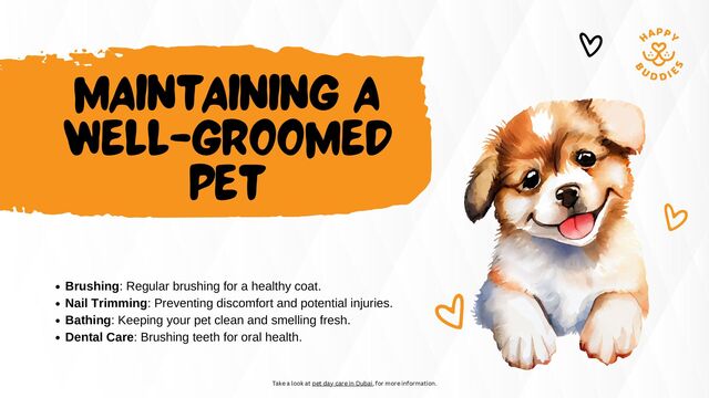 MAINTAINING A
WELL-GROOMED
PET
Brushing: Regular brushing for a healthy coat.
Nail Trimming: Preventing discomfort and potential injuries.
Bathing: Keeping your pet clean and smelling fresh.
Dental Care: Brushing teeth for oral health.
Take a look at pet day care in Dubai, for more information.
