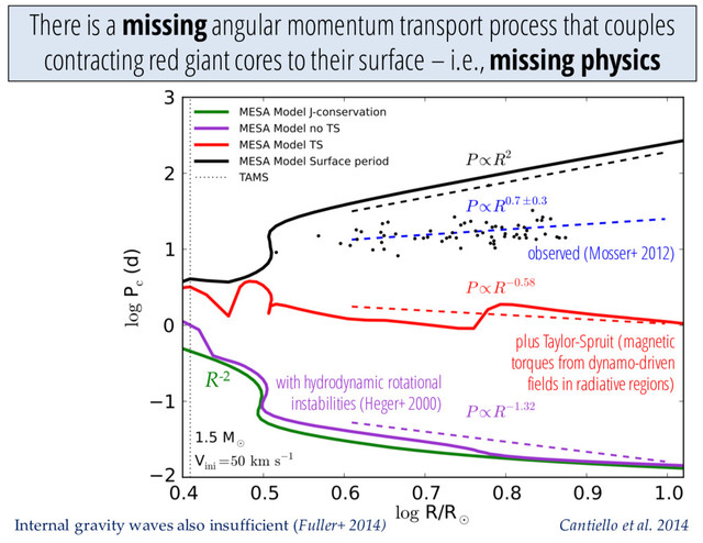 There is a missing angular momentum transport process that couples
contracting red giant cores to their surface – i.e., missing physics
Cantiello et al. 2014
observed (Mosser+ 2012)
plus Taylor-Spruit (magnetic
torques from dynamo-driven
fields in radiative regions)
with hydrodynamic rotational
instabilities (Heger+ 2000)
R-2
Internal gravity waves also insufficient (Fuller+ 2014)
