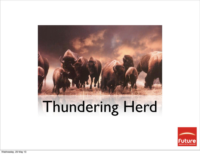 Thundering Herd
Wednesday, 29 May 13
