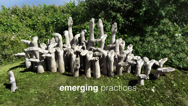 emerging practices
