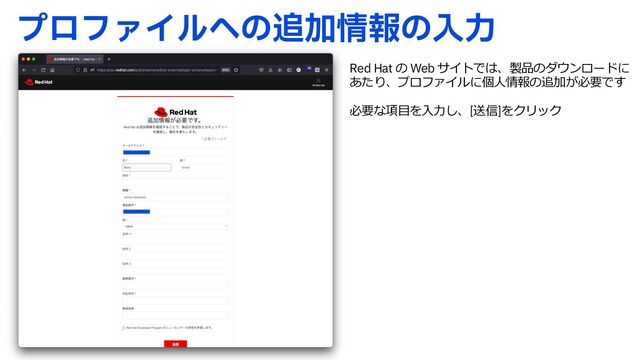 ϓϩϑΝΠϧ΁ͷ௥Ճ৘ใͷೖྗ
Red Hat の Web サイトでは、製品のダウンロードに
あたり、プロファイルに個⼈情報の追加が必要です
必要な項⽬を⼊⼒し、[送信]をクリック
