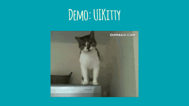 Demo: UIKitty
