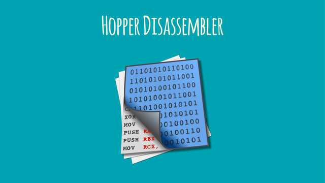 Hopper Disassembler
