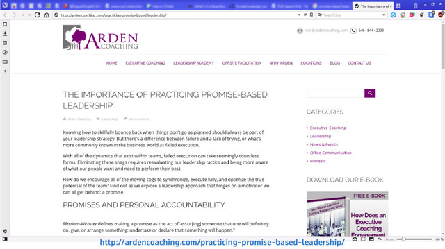 http://ardencoaching.com/practicing-promise-based-leadership/
