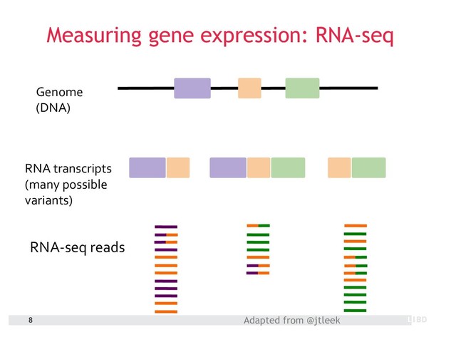 RNA-seq reads
Genome
(DNA)
RNA transcripts
(many possible
variants)
Measuring gene expression: RNA-seq
Adapted from @jtleek
8
