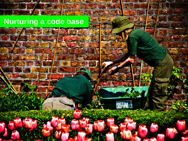 Nurturing a code base

