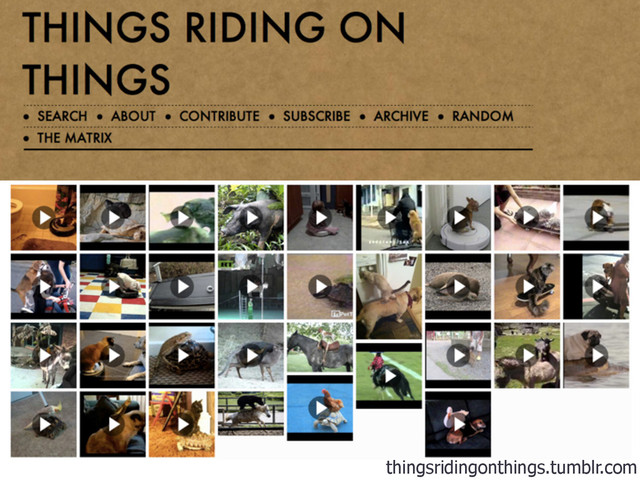 thingsridingonthings.tumblr.com
