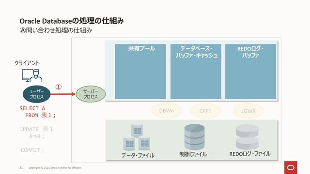 Oracle Databaseの処理の仕組み
Copyright © 2023, Oracle and/or its affiliates
23
Ⓐ問い合わせ処理の仕組み
DBWn
クライアント
ユーザー
プロセス
制御ファイル
データ・ファイル REDOログ・ファイル
LGWR
CKPT
①
SELECT A
FROM 表１;
UPDATE 表１
A⇒B；
COMMIT；
REDOログ・
バッファ
共有プール データベース・
バッファ・キャッシュ
サーバー
プロセス
