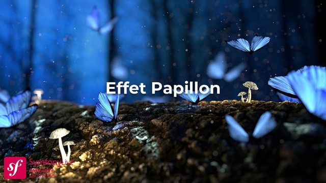 Effet Papillon
