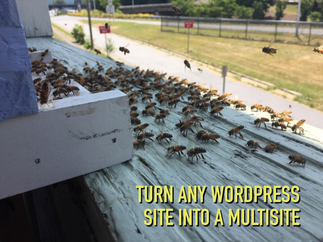 TURN ANY WORDPRESS
SITE INTO A MULTISITE
