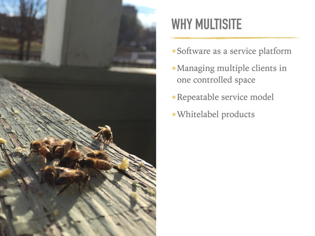 WHY MULTISITE
★Software as a service platform
★Managing multiple clients in
one controlled space
★Repeatable service model
★Whitelabel products
