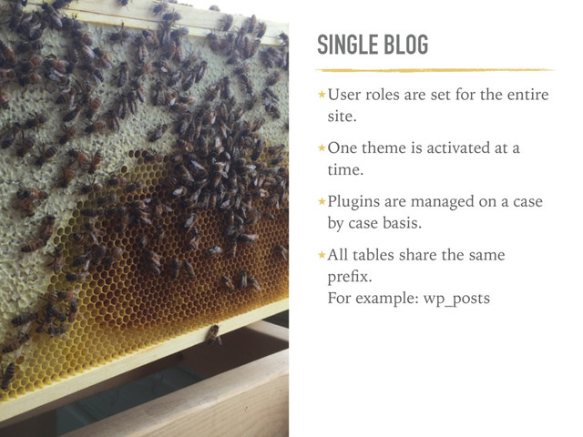 SINGLE BLOG
★User roles are set for the entire
site.
★One theme is activated at a
time.
★Plugins are managed on a case
by case basis.
★All tables share the same
preﬁx.  
For example: wp_posts
