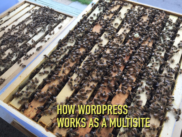 HOW WORDPRESS
WORKS AS A MULTISITE
