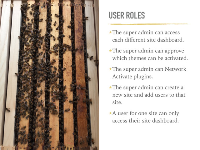 USER ROLES
★The super admin can access
each diﬀerent site dashboard.
★The super admin can approve
which themes can be activated.
★The super admin can Network
Activate plugins.
★The super admin can create a
new site and add users to that
site.
★A user for one site can only
access their site dashboard.

