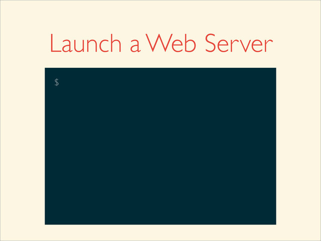 Launch a Web Server
$
