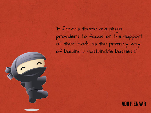 “It forces theme and plugin
providers to focus on the support
of their code as the primary way
of building a sustainable business.”
Adii Pienaar

