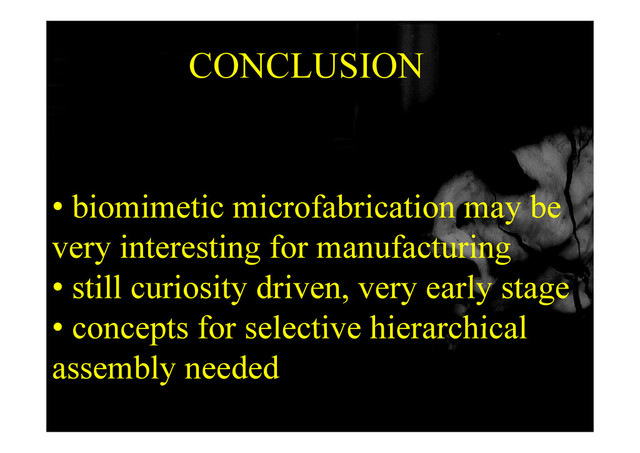 CONCLUSION
CONCLUSION
• biomimetic microfabrication may be
very interesting for manufacturing
ill i i d i l
• still curiosity driven, very early stage
• concepts for selective hierarchical
• concepts for selective hierarchical
assembly needed
y
